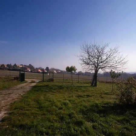 S209 - Sirolo, Nuovissimo Bilocale Con Portico Pt דירה